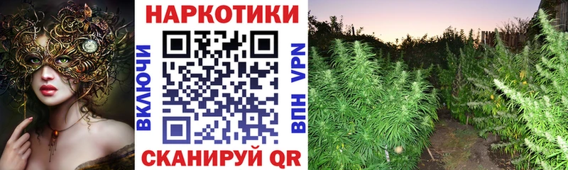 Где купить Бавлы КОКАИН  Каннабис  АМФЕТАМИН  А ПВП  ГАШИШ  Меф 