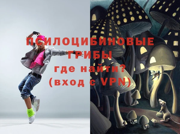 хмурый Покров